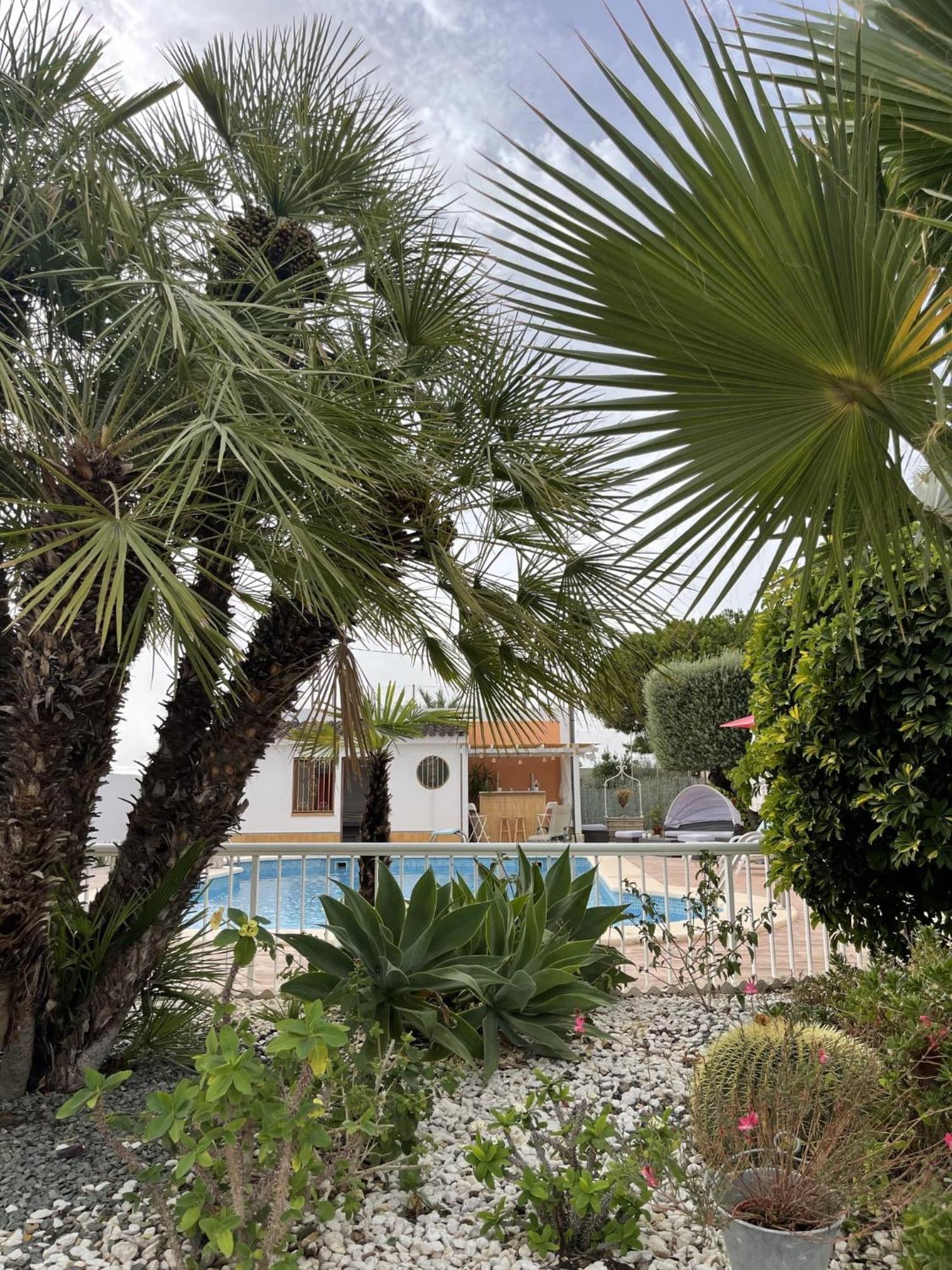 Romantico Wellness Casa Veronica Elche Eksteriør bilde